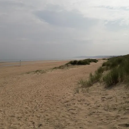 Avec Terrasse, Cosy Et Moderne - A Deux Pas De La ! Lejlighed Merville-Franceville-Plage