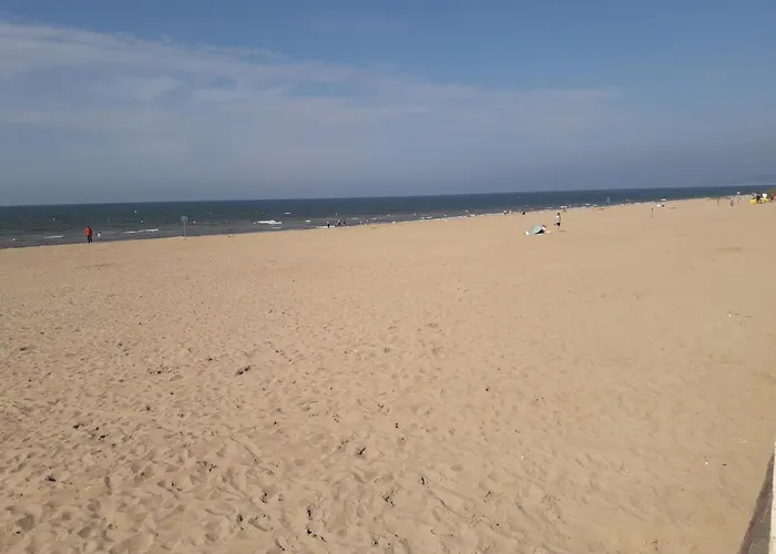 Avec Terrasse, Cosy Et Moderne - A Deux Pas De La ! *