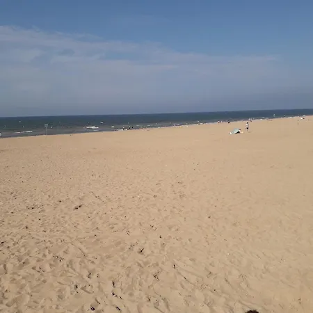 A 300m De La Plage, Moderne Et Cosy *